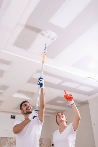 Professional Mold Removal in Foley, MN