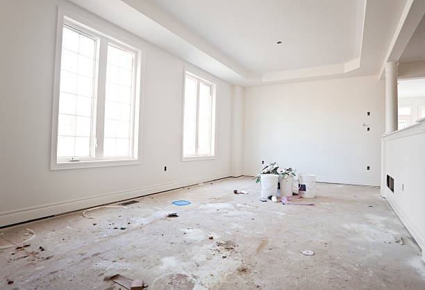 Best Commercial Mold Inspection  in Foley, MN